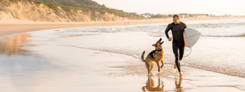 Man with dog on beach banner