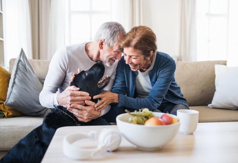 A happy older couple relaxes on a couch, with a dog nestled in their laps, enjoying a cozy moment together.