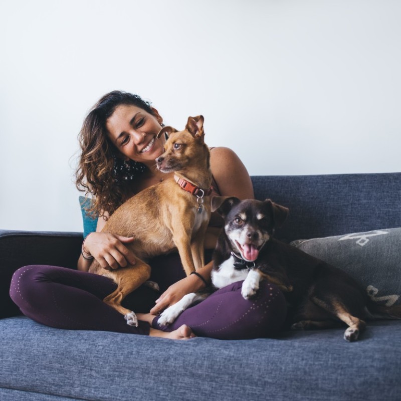 A woman relaxes on a couch, accompanied by two dogs, creating a cozy atmosphere.